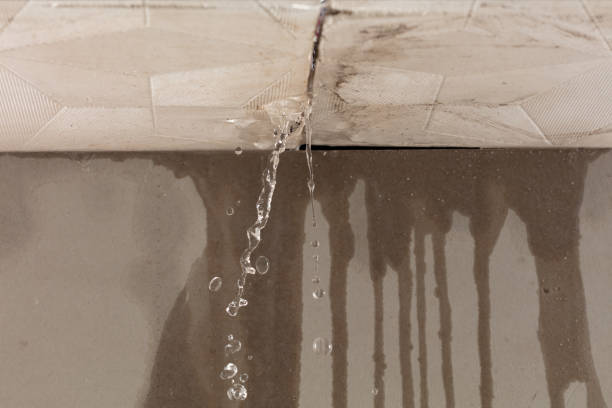 Professional Water Extraction technician working in Winfield, AL